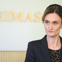 V. Čmilytė-Nielsen sureagavo į kalbas apie provokuojamą Rusiją: griežta užsienio politika – adekvati 